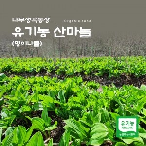 나무생각농장 유기농 산마늘(명이나물) 1kg